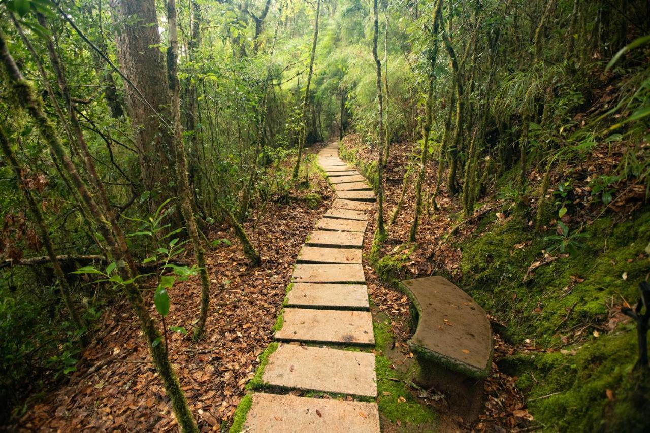 Dantica Cloud Forest Lodge Сан-Херардо-де-Дота Екстер'єр фото