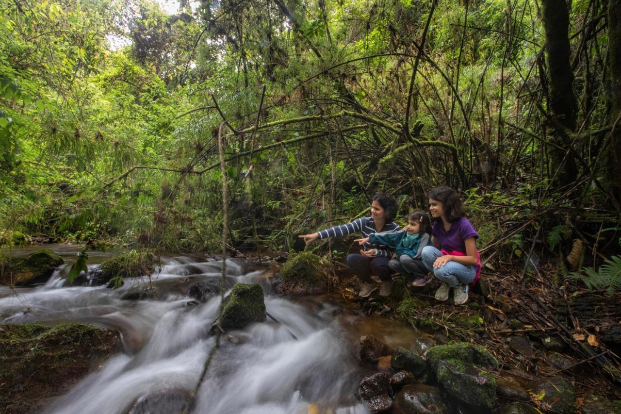 Dantica Cloud Forest Lodge Сан-Херардо-де-Дота Екстер'єр фото