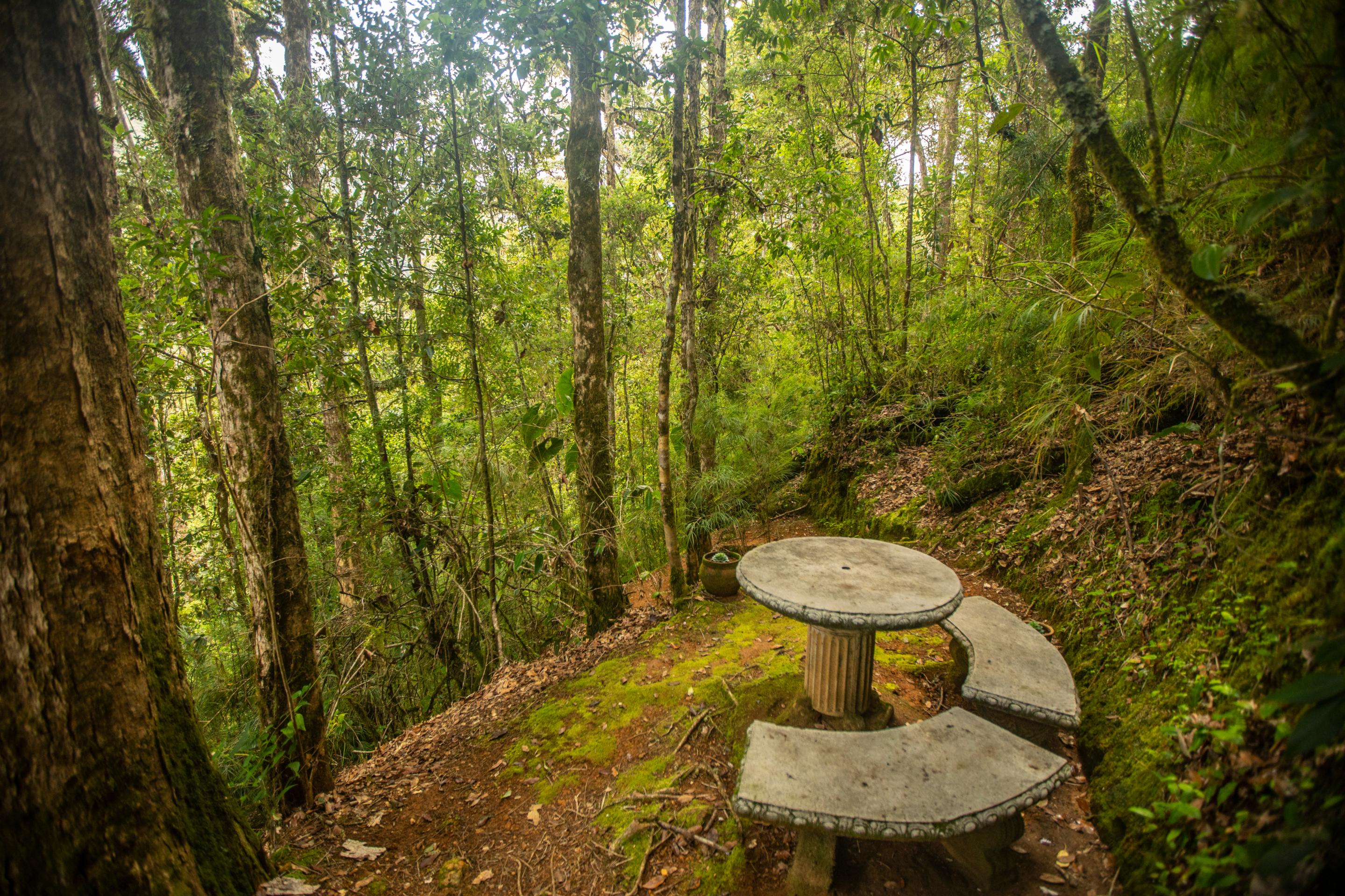 Dantica Cloud Forest Lodge Сан-Херардо-де-Дота Екстер'єр фото