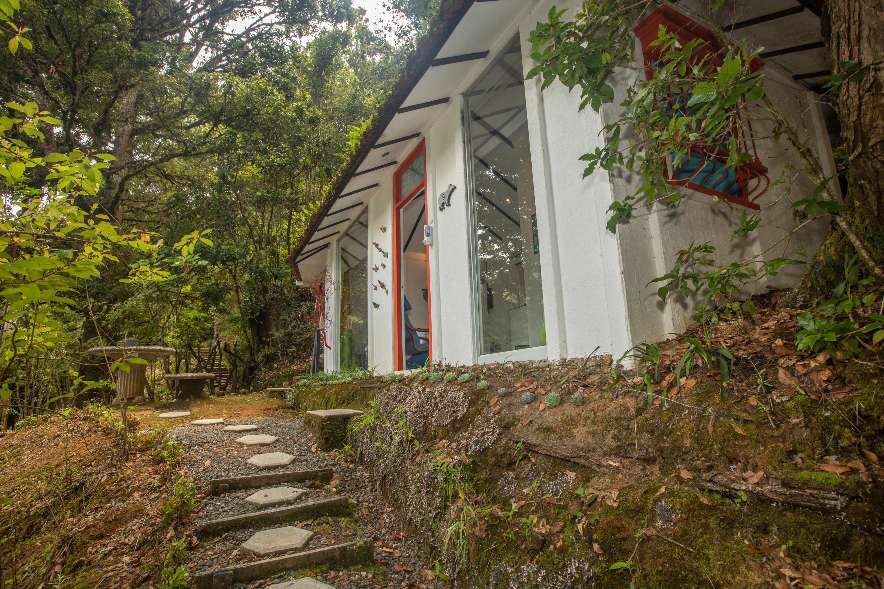 Dantica Cloud Forest Lodge Сан-Херардо-де-Дота Екстер'єр фото