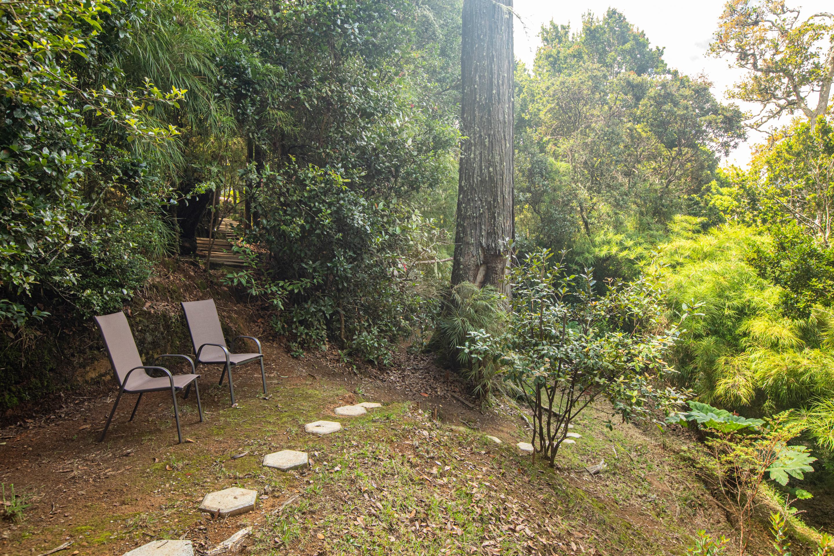 Dantica Cloud Forest Lodge Сан-Херардо-де-Дота Екстер'єр фото