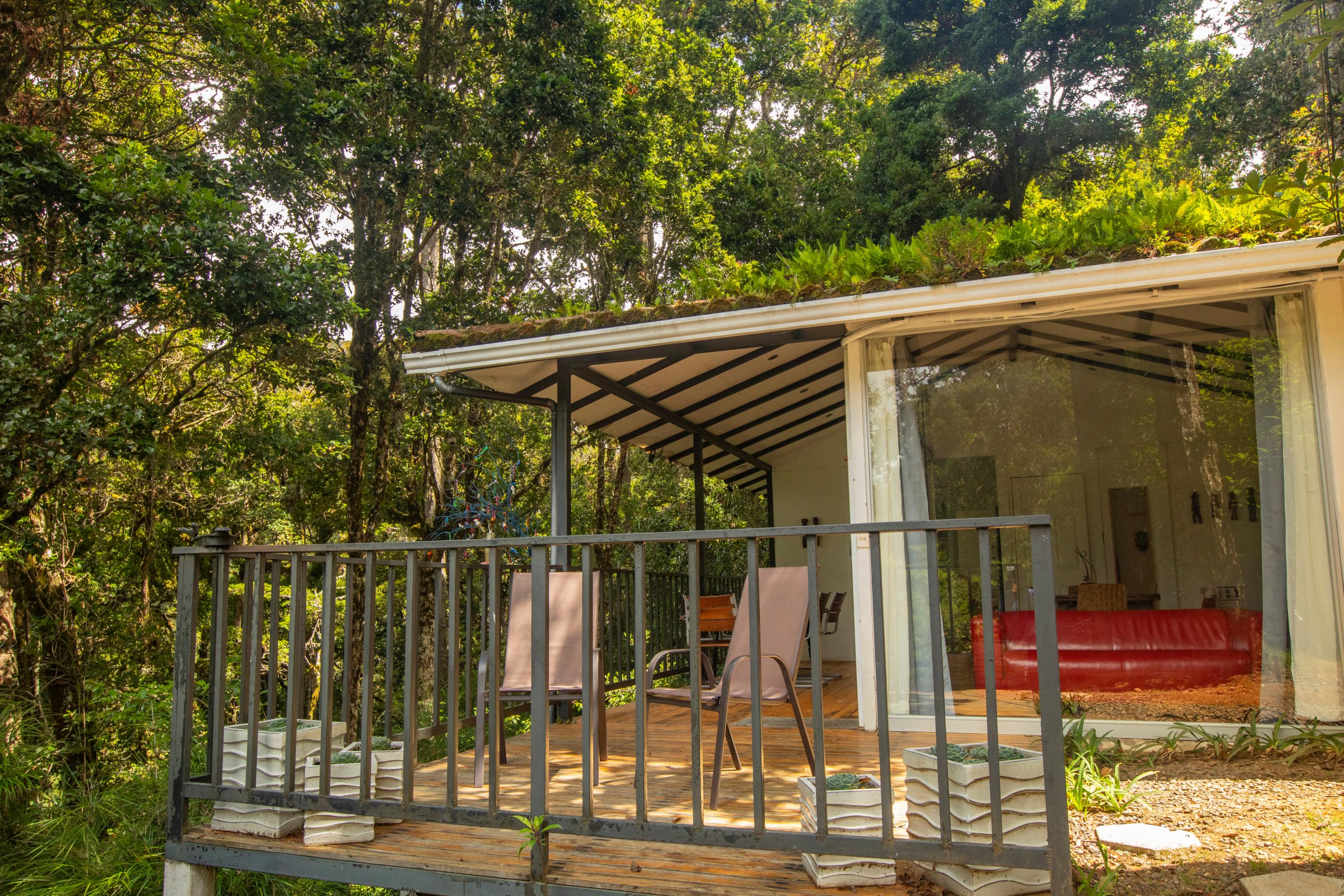 Dantica Cloud Forest Lodge Сан-Херардо-де-Дота Екстер'єр фото