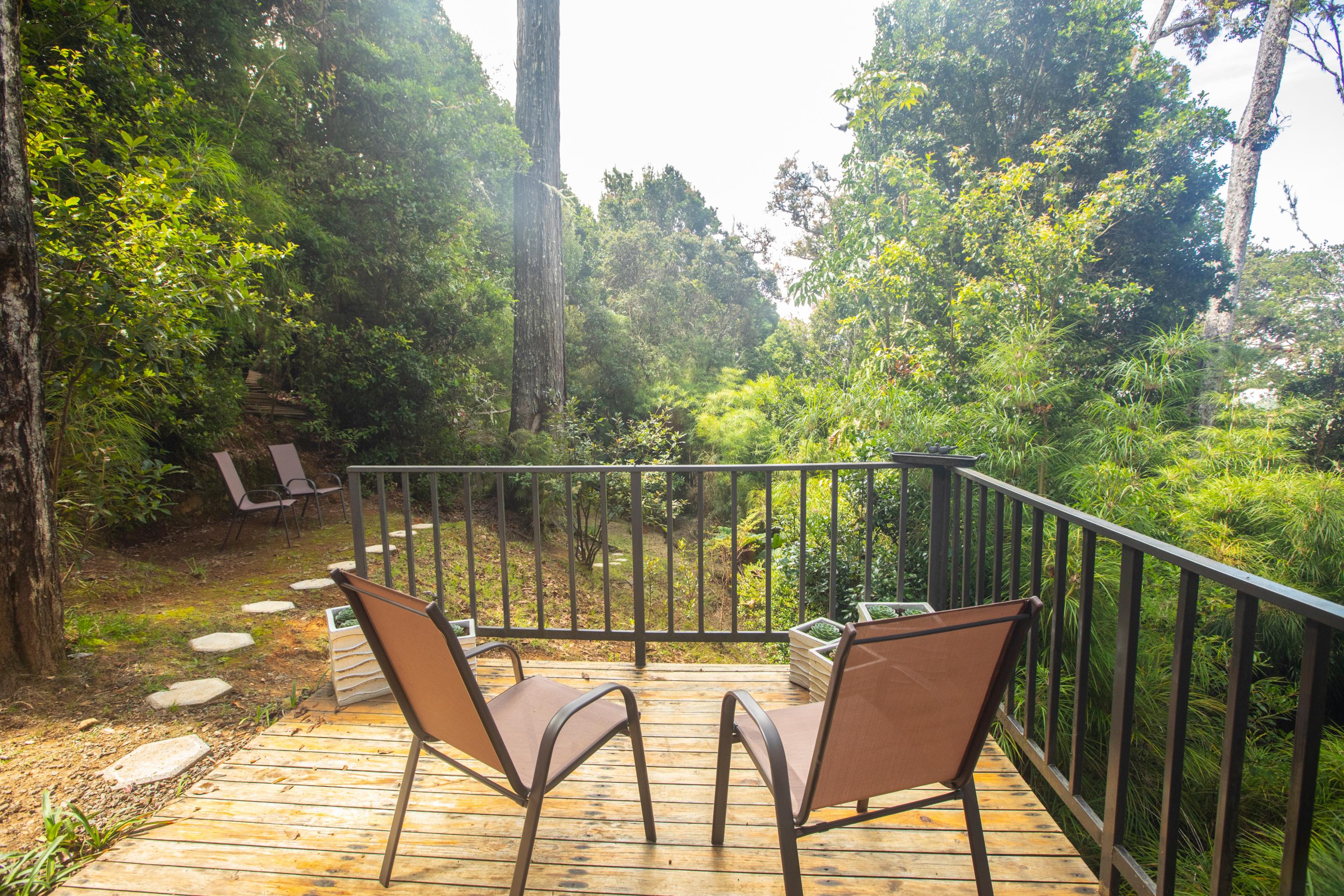 Dantica Cloud Forest Lodge Сан-Херардо-де-Дота Екстер'єр фото
