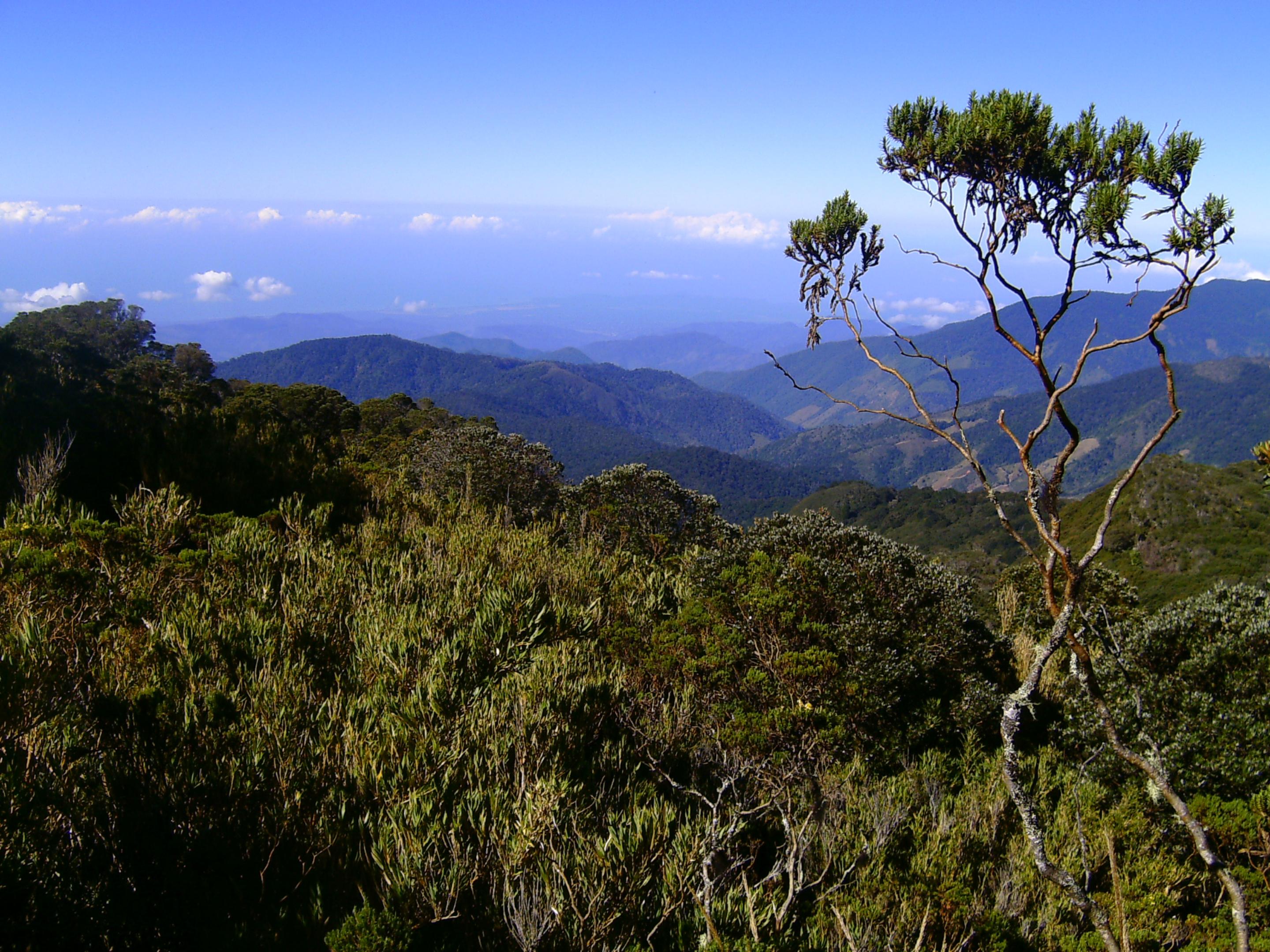 Dantica Cloud Forest Lodge Сан-Херардо-де-Дота Екстер'єр фото