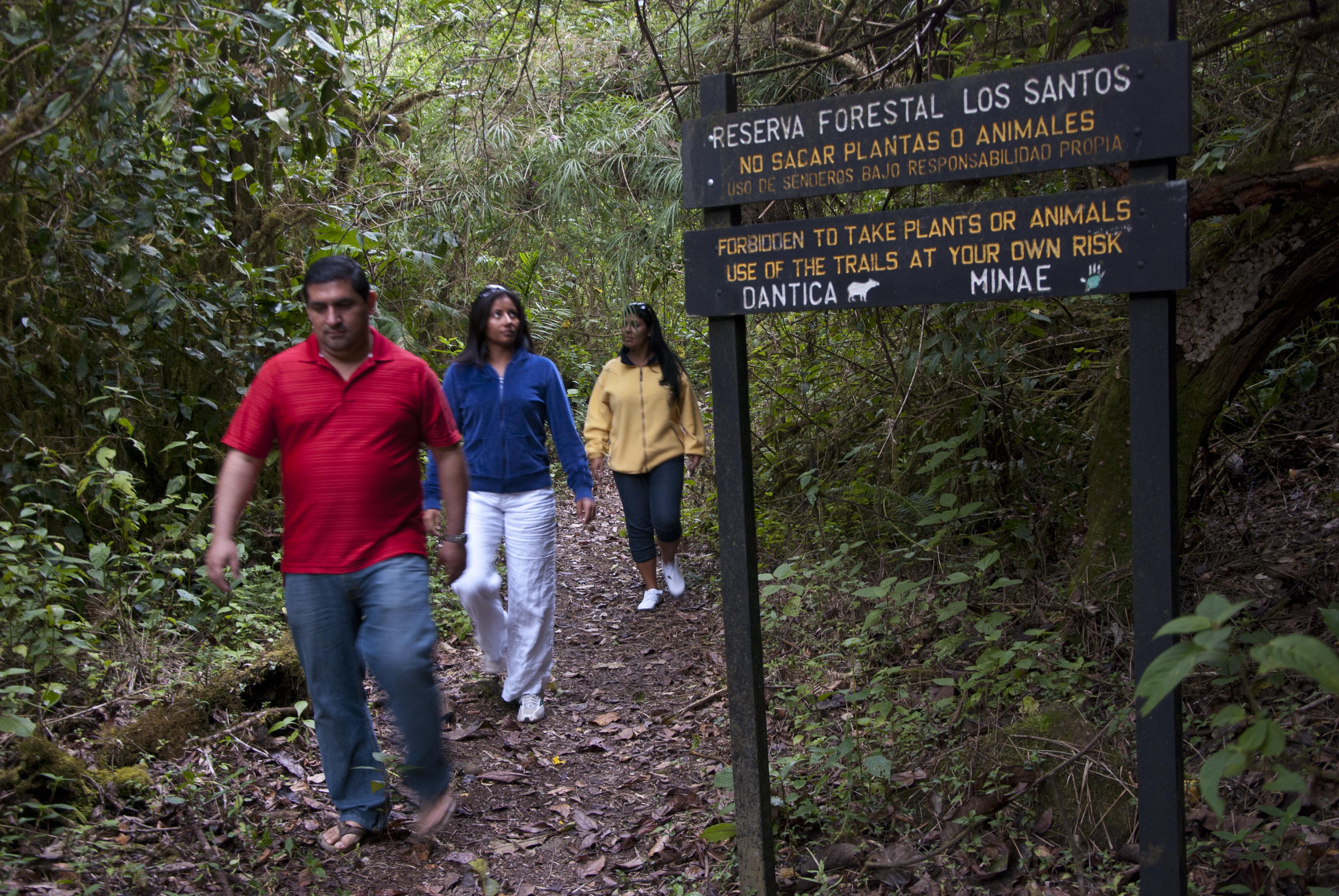 Dantica Cloud Forest Lodge Сан-Херардо-де-Дота Екстер'єр фото